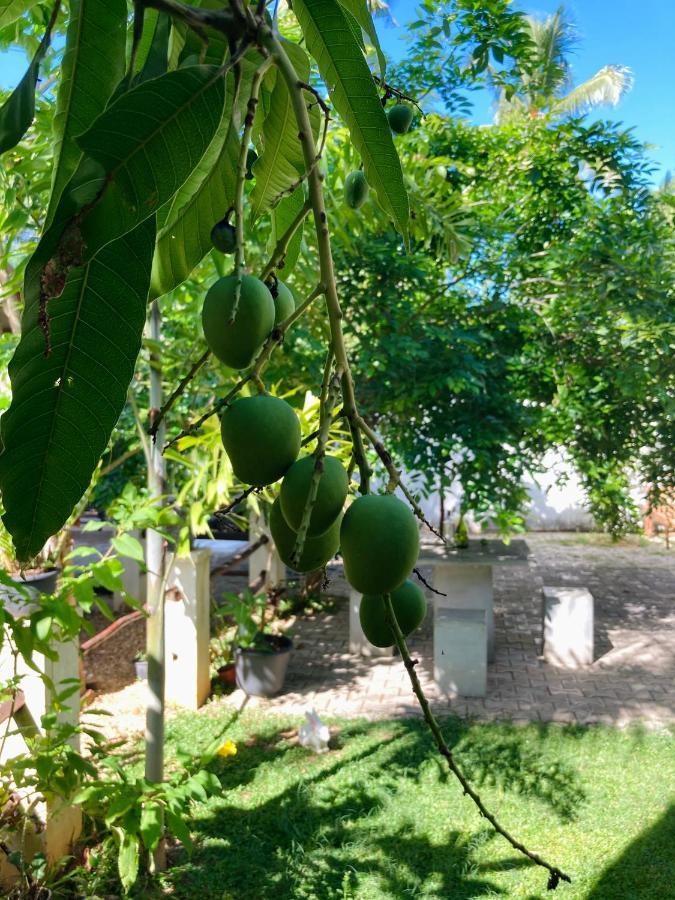 The Mango Leaf Hotel Matara Eksteriør billede